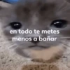💥Chat Meme Collection💎🔝 1 10