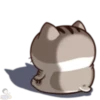 meowww demuk 20