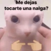 Gatos con frasecitas💬🩷 10
