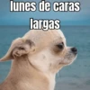lunes de ... 👌 14
