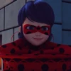 ladybugandcatnoir 24