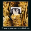 жёстки набор мем 20