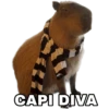 Capibara 19