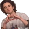Timothée Chalamet 🩵 19