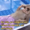 💥Chat Meme Collection💎🔝 1 11