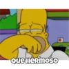 Homero 🧑‍🦲 21