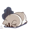 meowww demuk 23