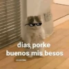 💥Chat Meme Collection💎🔝 1 12