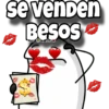 se venden Besos Curls.2010