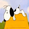 🐾•🏡Snoopy🏡•🐾 9
