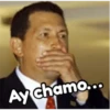Chávez/Maduro 18