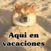 Aqui en vacaciones