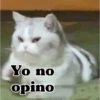 Yo no opino