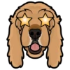 Benji 7