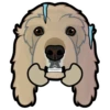 Benji 8