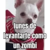 lunes de ... 👌 16