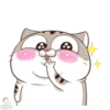 meowww demuk 24