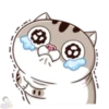 meowww demuk 25