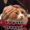 Ya paso *tranqui