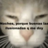 💥Chat Meme Collection💎🔝 1 14