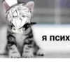 жёстки набор мем 29