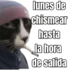 lunes de ... 👌 17