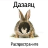 жёстки набор мем 30