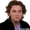 Timothée Chalamet 🩵 27
