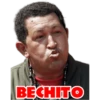 Chávez/Maduro 21