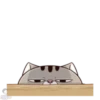 meowww demuk 29