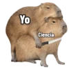 memes de carpinchos capibaras 17