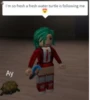 I'm so fresh a fresh water turtle is following me Ay ND