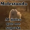 Molestando Al único que me soporta