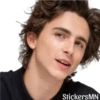 Timothée Chalamet 🩵 29