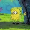 Sponge Bob 30