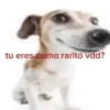 💥Chat Meme Collection💎🔝 1 15