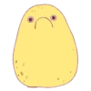 Sweet potatos 30
