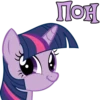 I'm Twilight 9