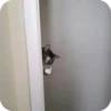 Bad Cats 9