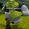 Стикеры дебила 5