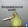 Ame gang 6