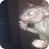 Bad Cats 11