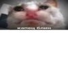 Мемы 9 5