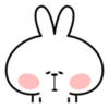 Spoiled Rabbit Facial Expression 9