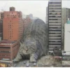 Broken Cats 3 11