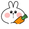 Spoiled Rabbit Facial Expression 12
