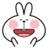 Spoiled Rabbit Facial Expression 13
