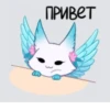 Мои любимые 13