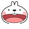 Spoiled Rabbit Facial Expression 15