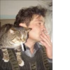 Broken Cats 3 19